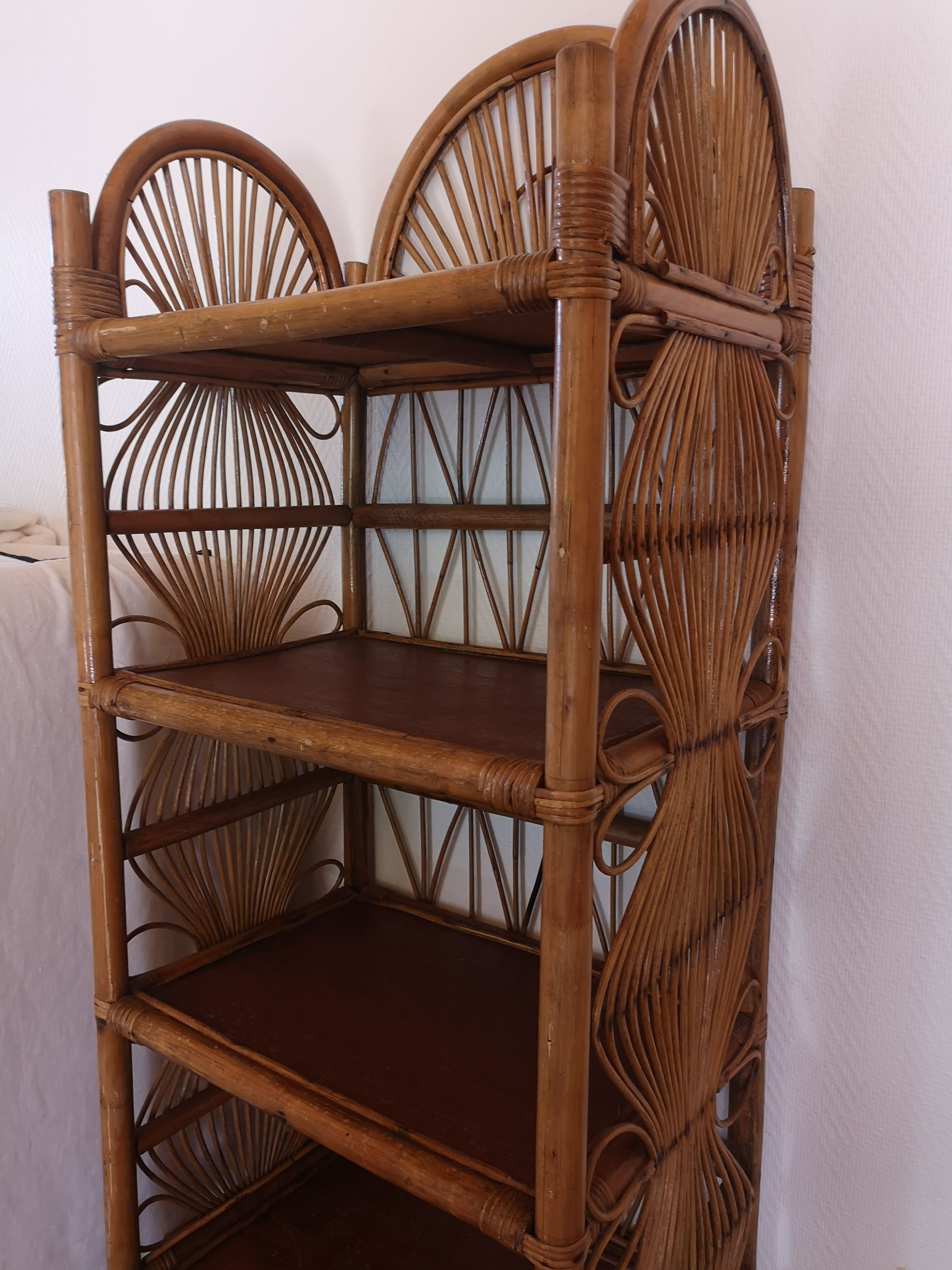 Vintage library in rattan peacock