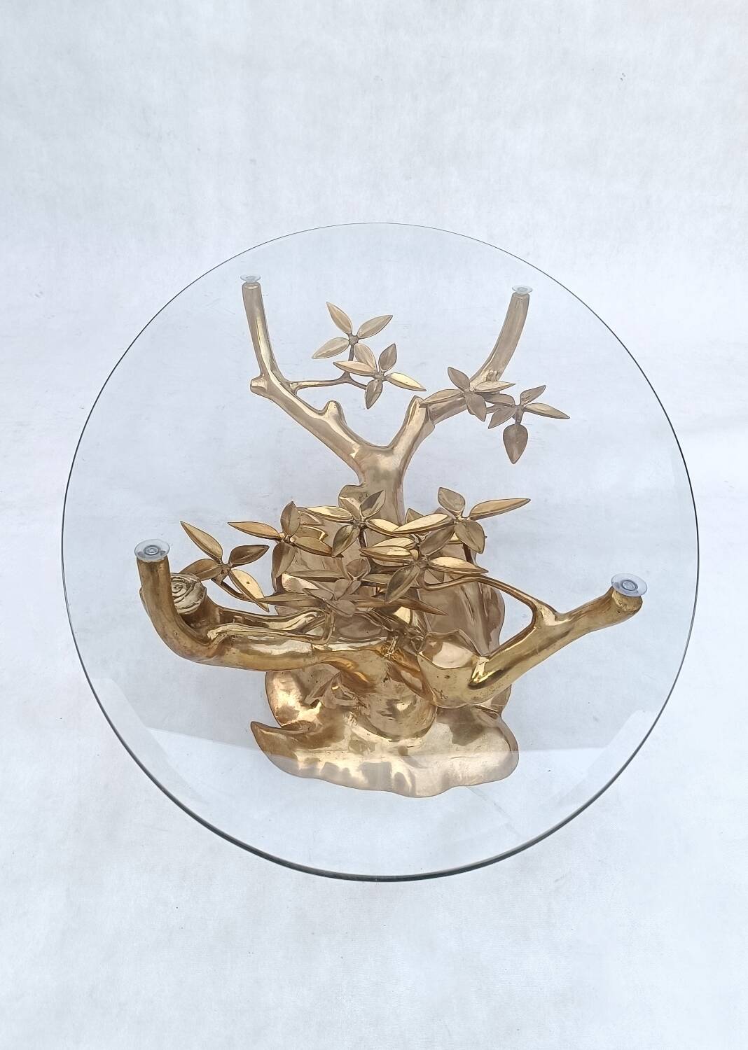 Brass Bonsai coffee Table by Willy Daro