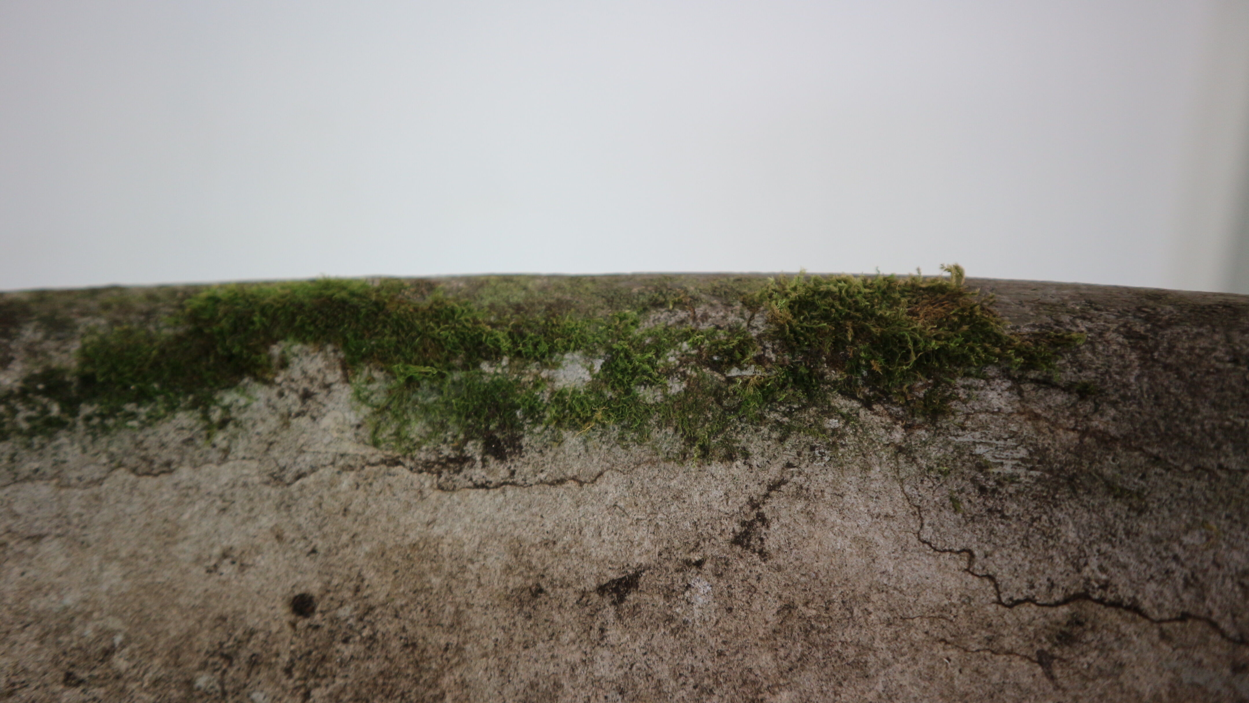 Diabolo' planter, Switzerland, design by Anton Bee assisted by Guhl 1954