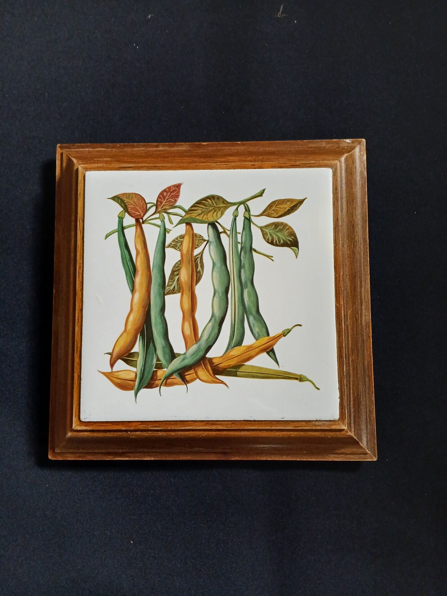 Dessous de plat ancien avec motif botanique