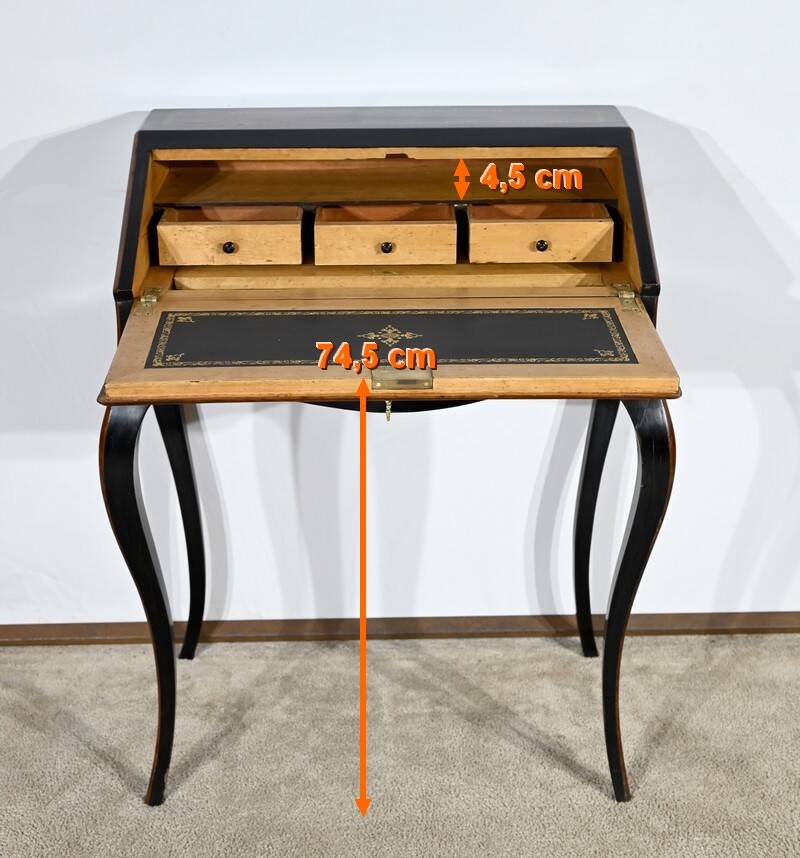 Blackened pearwood and amboyna sloping desk, Napoleon III period, mid-19th century