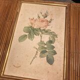 Hairdresser, vintage rattan desk, in the style of Audoux Minet.