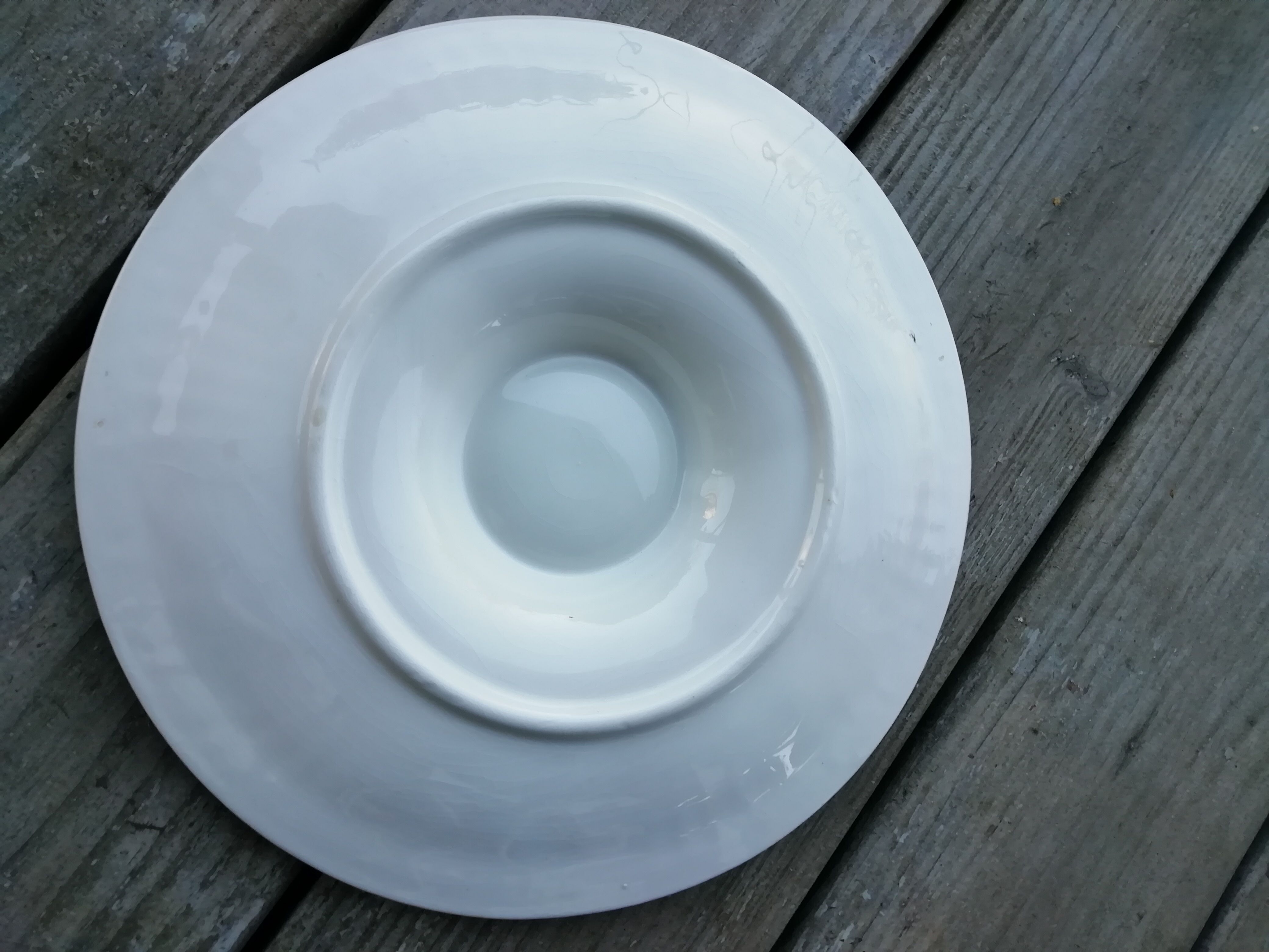 Longchamp oyster plate