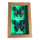Stuffed butterfly chart