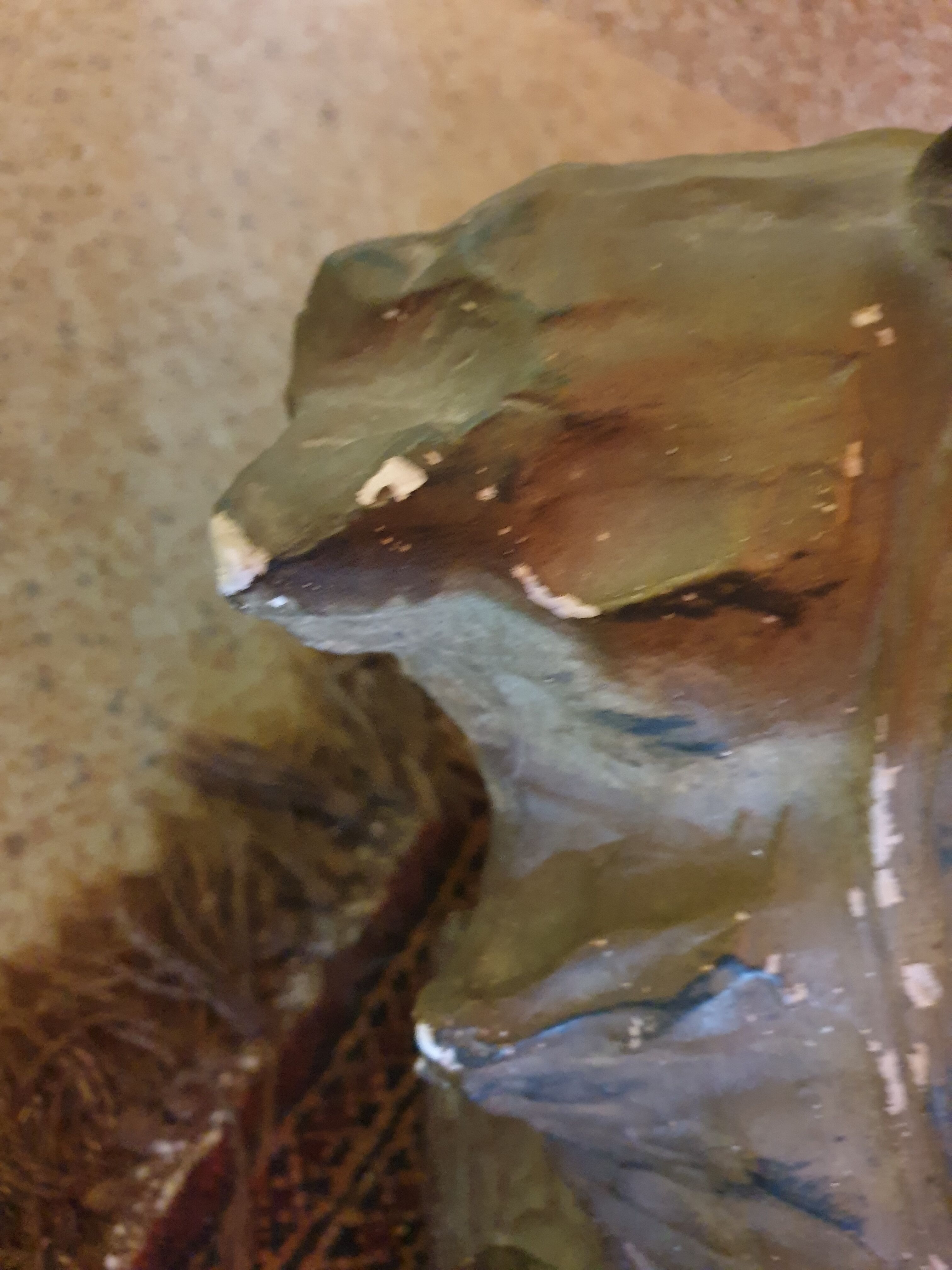 Bust of Marianne plaster