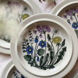 Flora flat plate service design Esteri Tomula