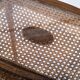 Vintage Nesting Tables with Rattan and Glass Top by Jason Møbler, 1960s, Set of 3