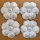 4 Limoges porcelain oyster plates