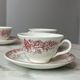 Set of 5 cups and saucers Sarreguemines with red rose decoration.