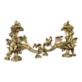 Pair of chiselled and gilded bronze andirons after a model by Jacques Caffieri, Paris 19th century.