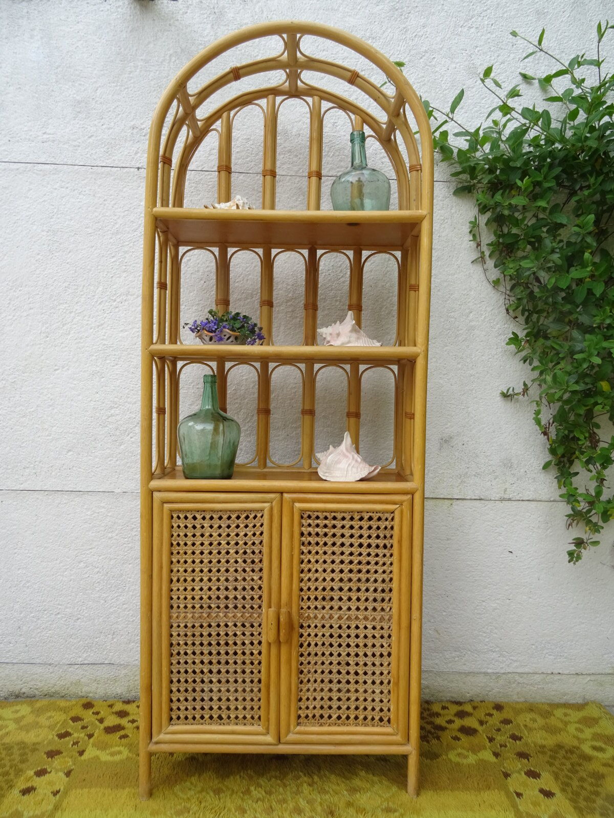 Canning rattan