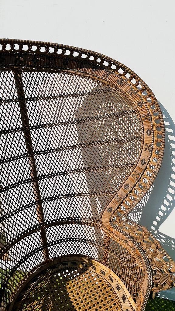 Fauteuil ' paon ' Emmanuelle XL. Vintage 70s