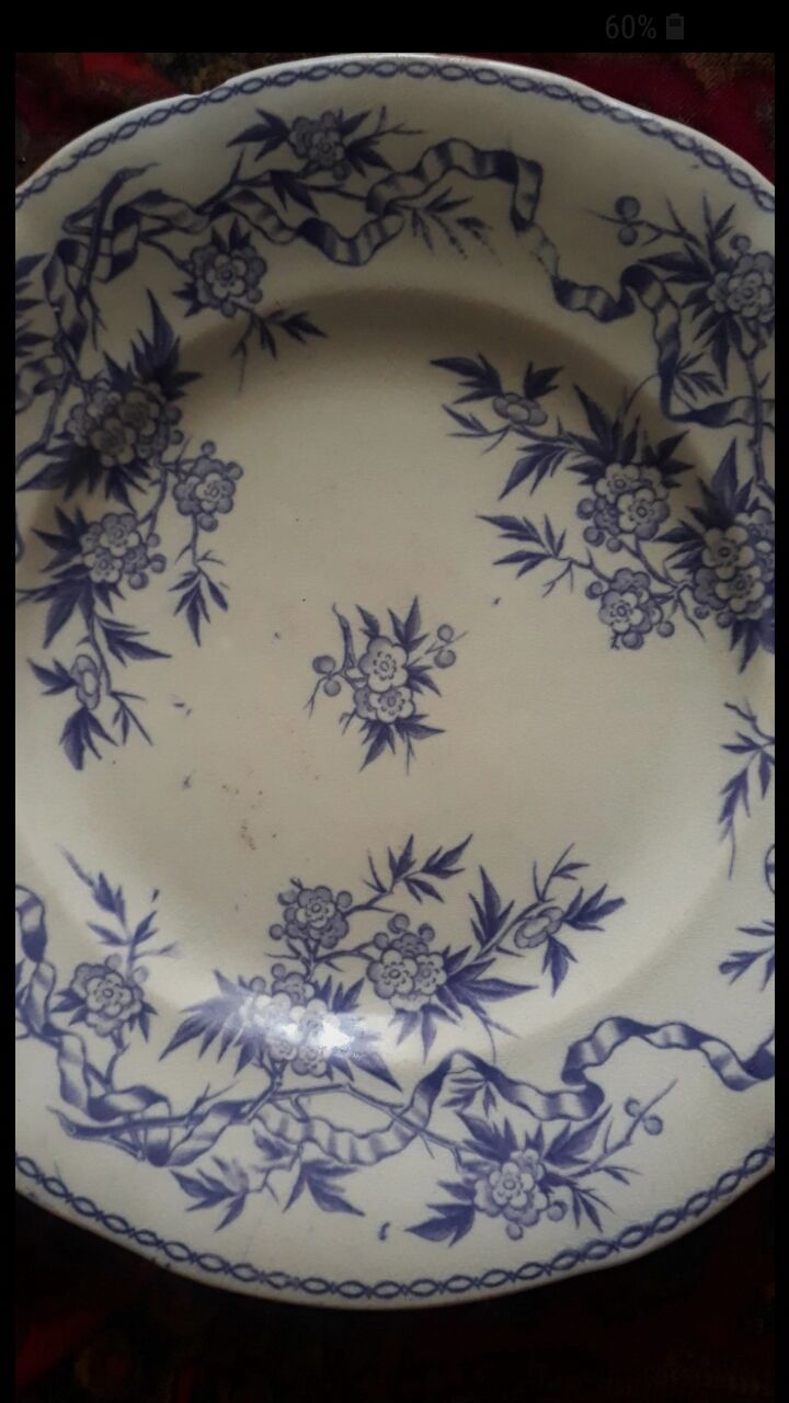 U&G Sarguemines Épine Plate