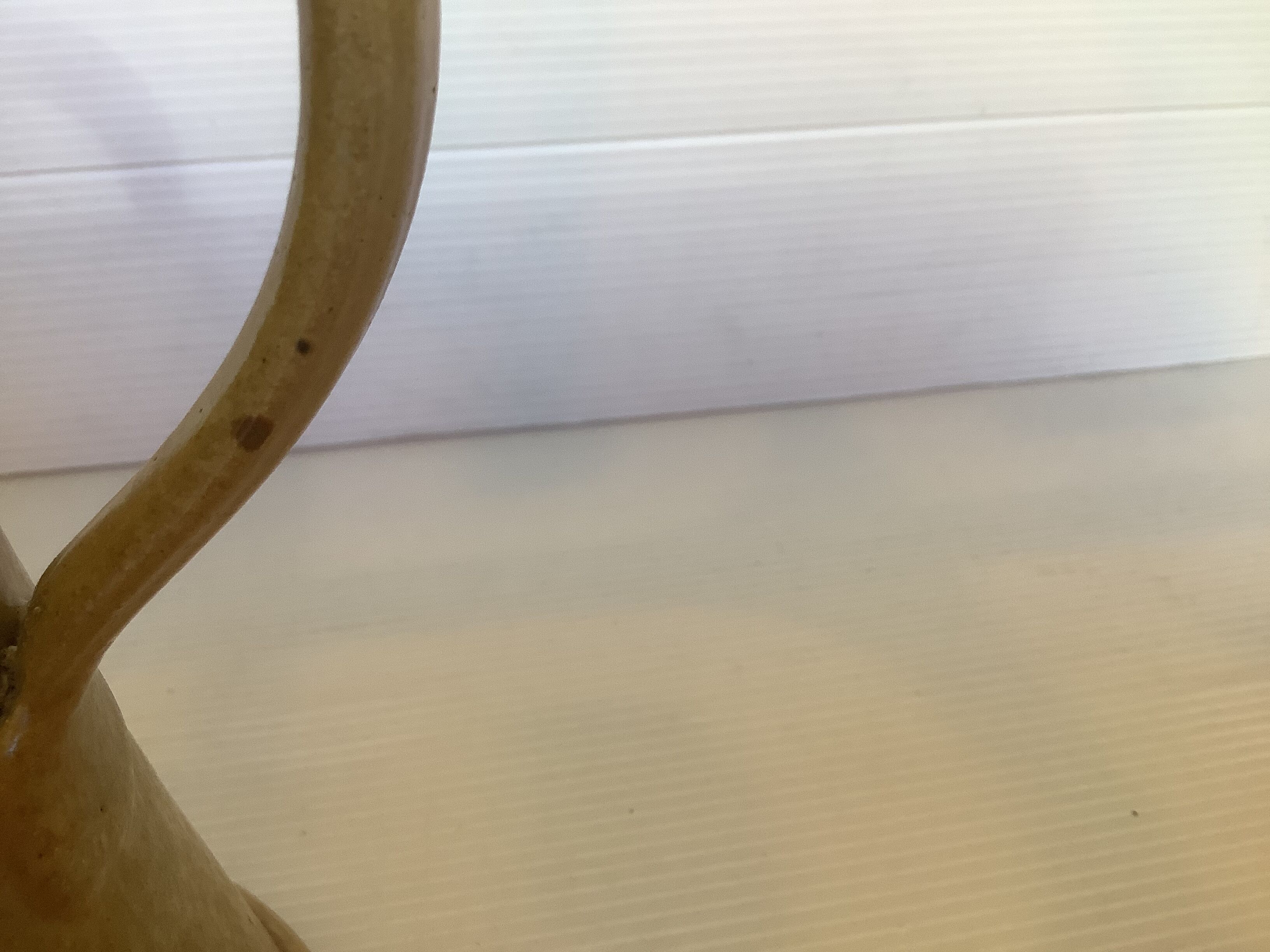 Ceramic vase Rudi Stahl Germany year 50