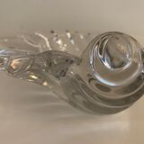 Empty crystal pocket in the shape of a shell