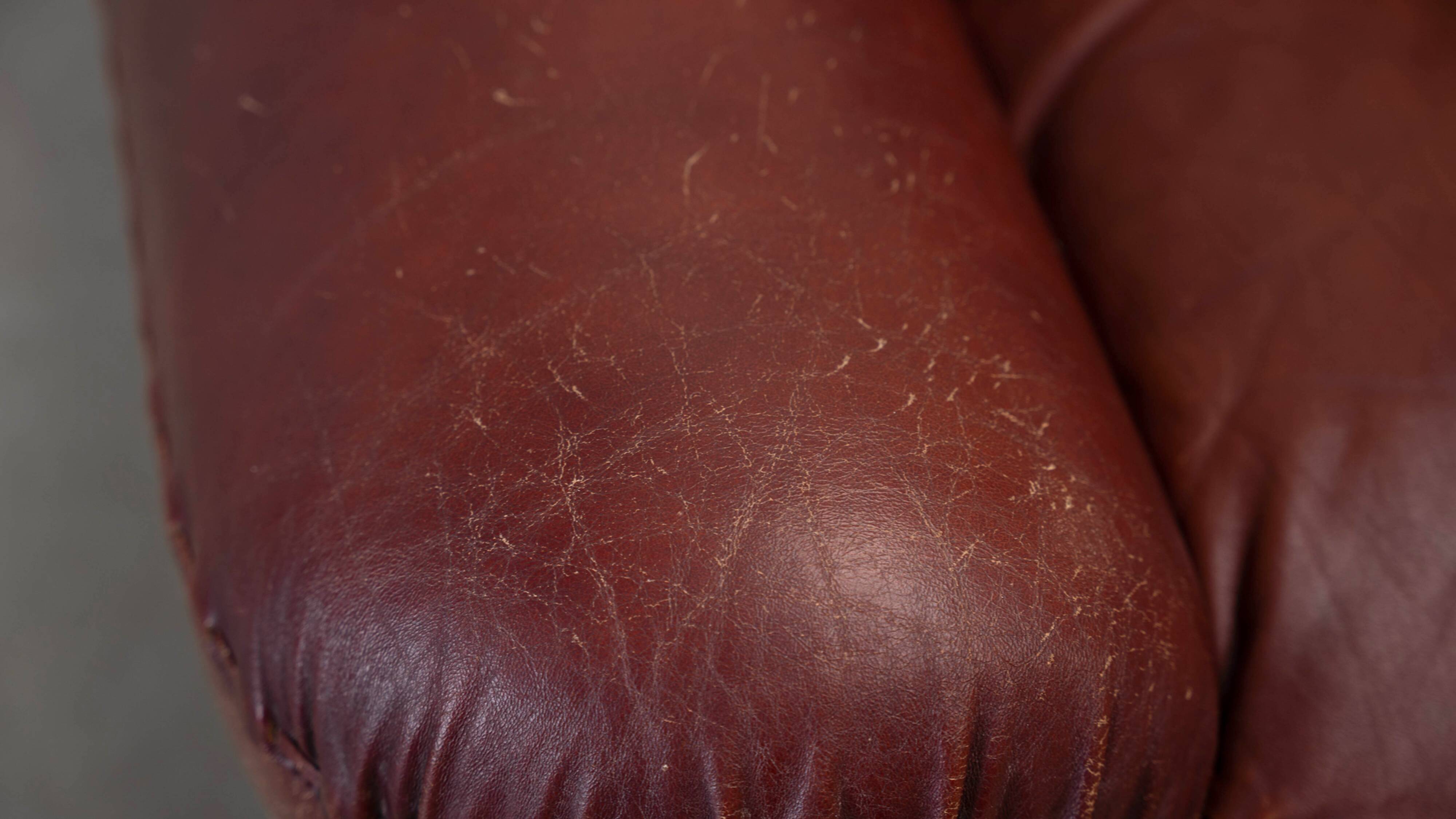 Set of two leather Sapporo lounge chairs by Mobil Girgi