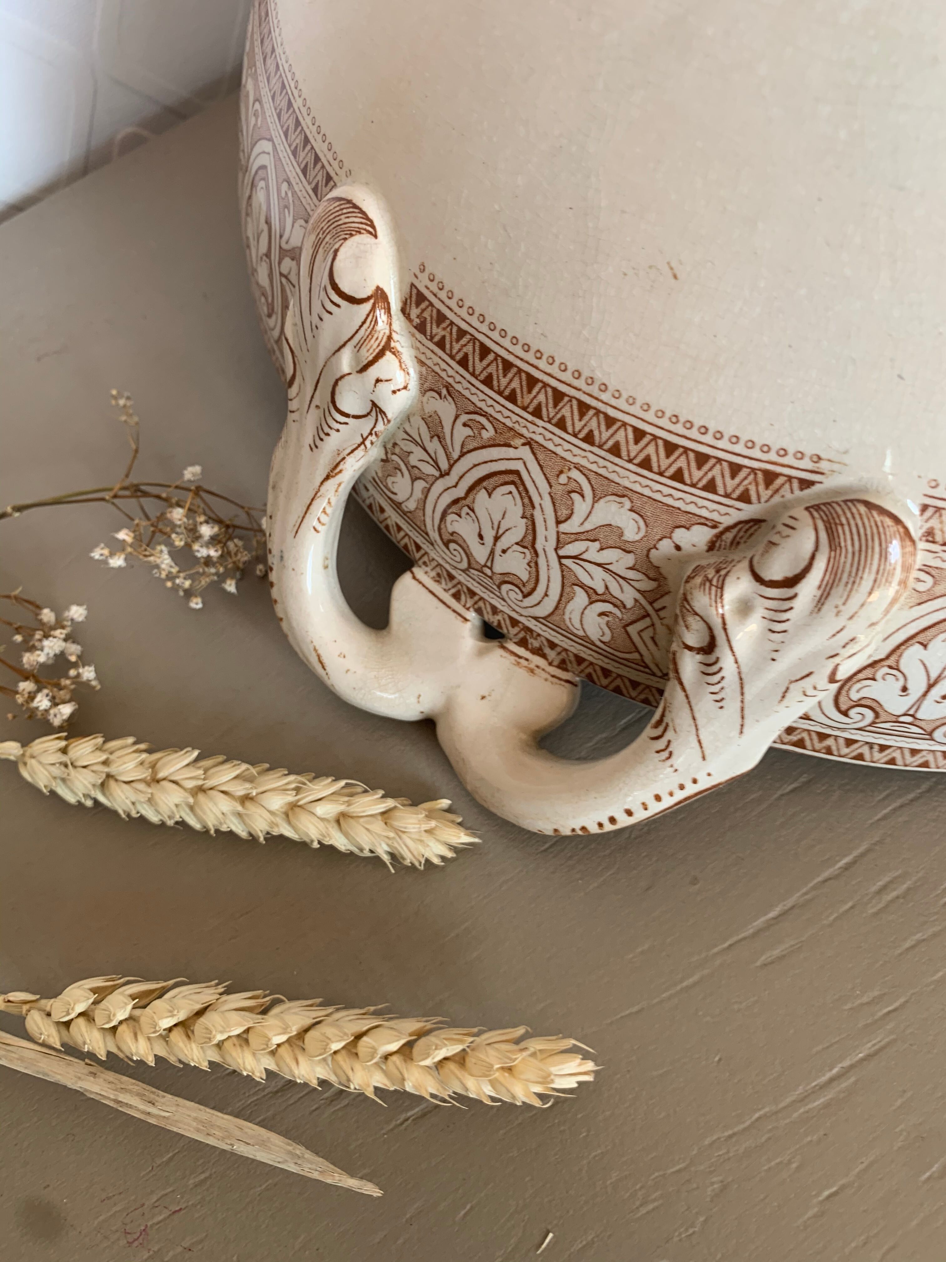 Coupe ancienne Anglaise