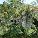 Large Arques crystal champagne glasses