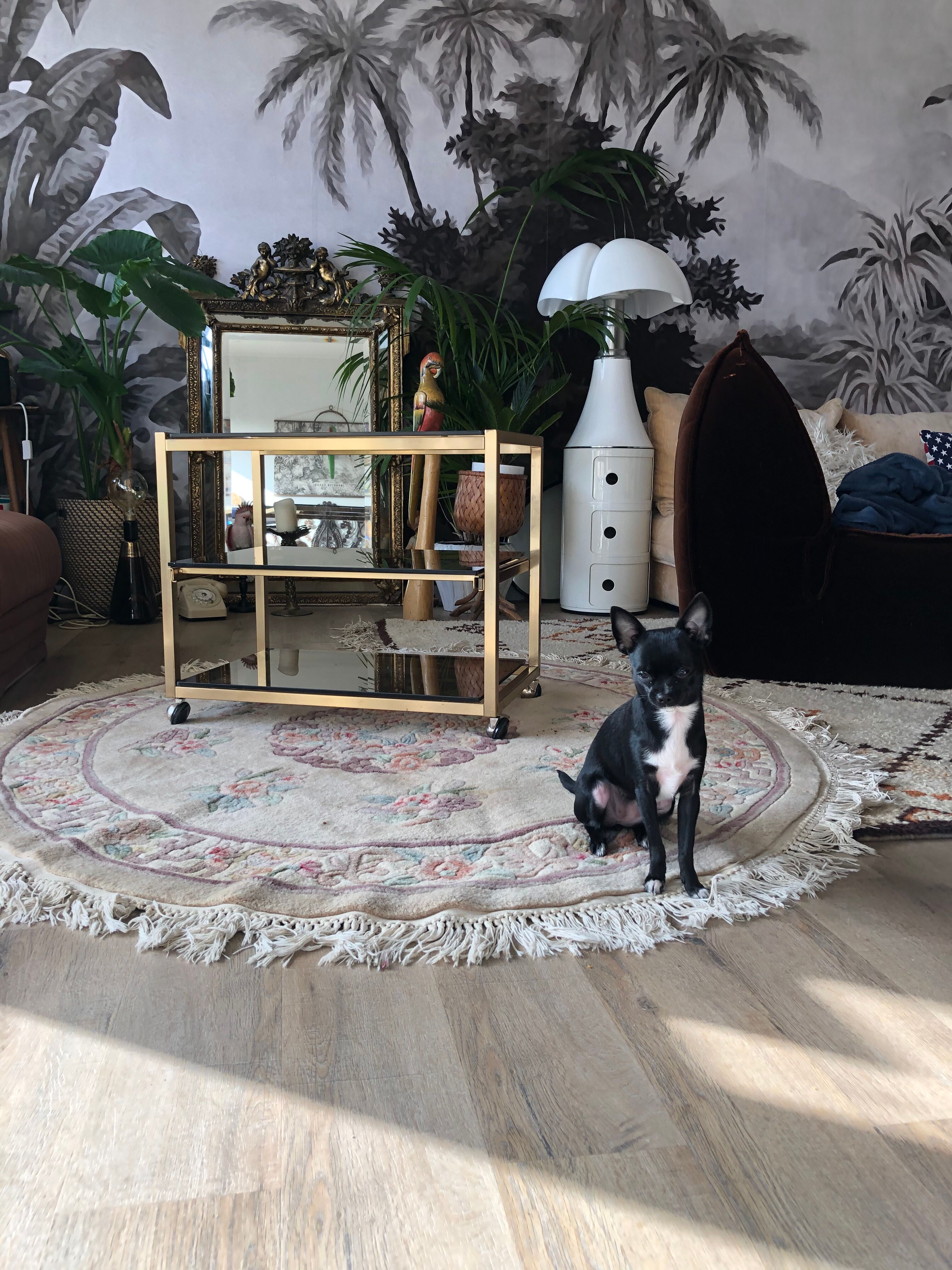 Brass coffee table and smoked glass