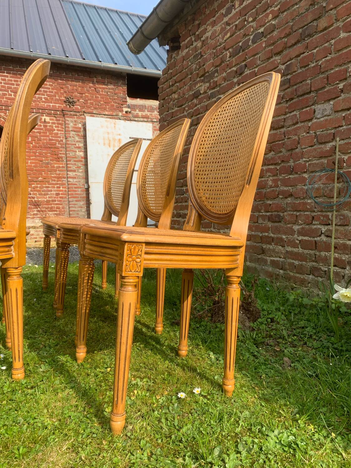 Set of 6 Louis XVI style cane medallion chairs