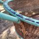 Antique large painted rattan cradle - 1900 - on wheels