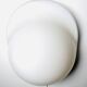 Tortue Opaline Glass Wall Lamp By Rodolfo Bonetto For Candle, Italy, 1970S