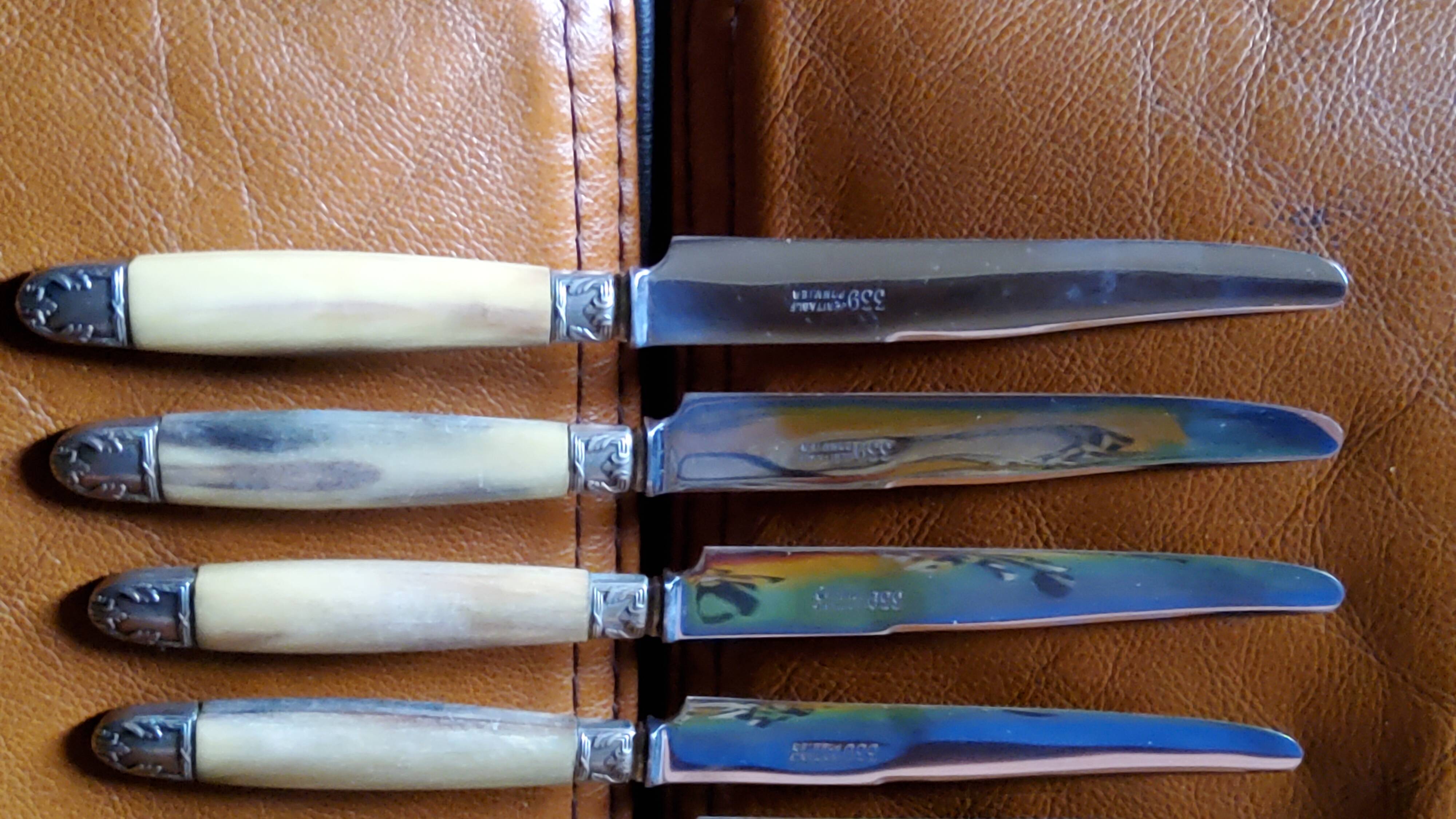 Box of 12 table knives goldsmith Apple handle horn and silver metal