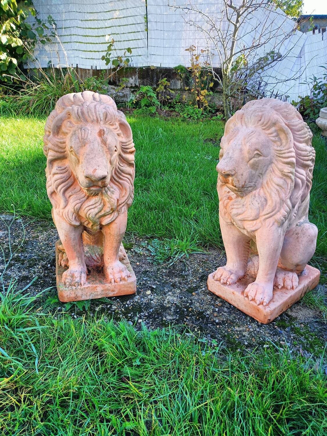 Pair of old terracotta garden lions