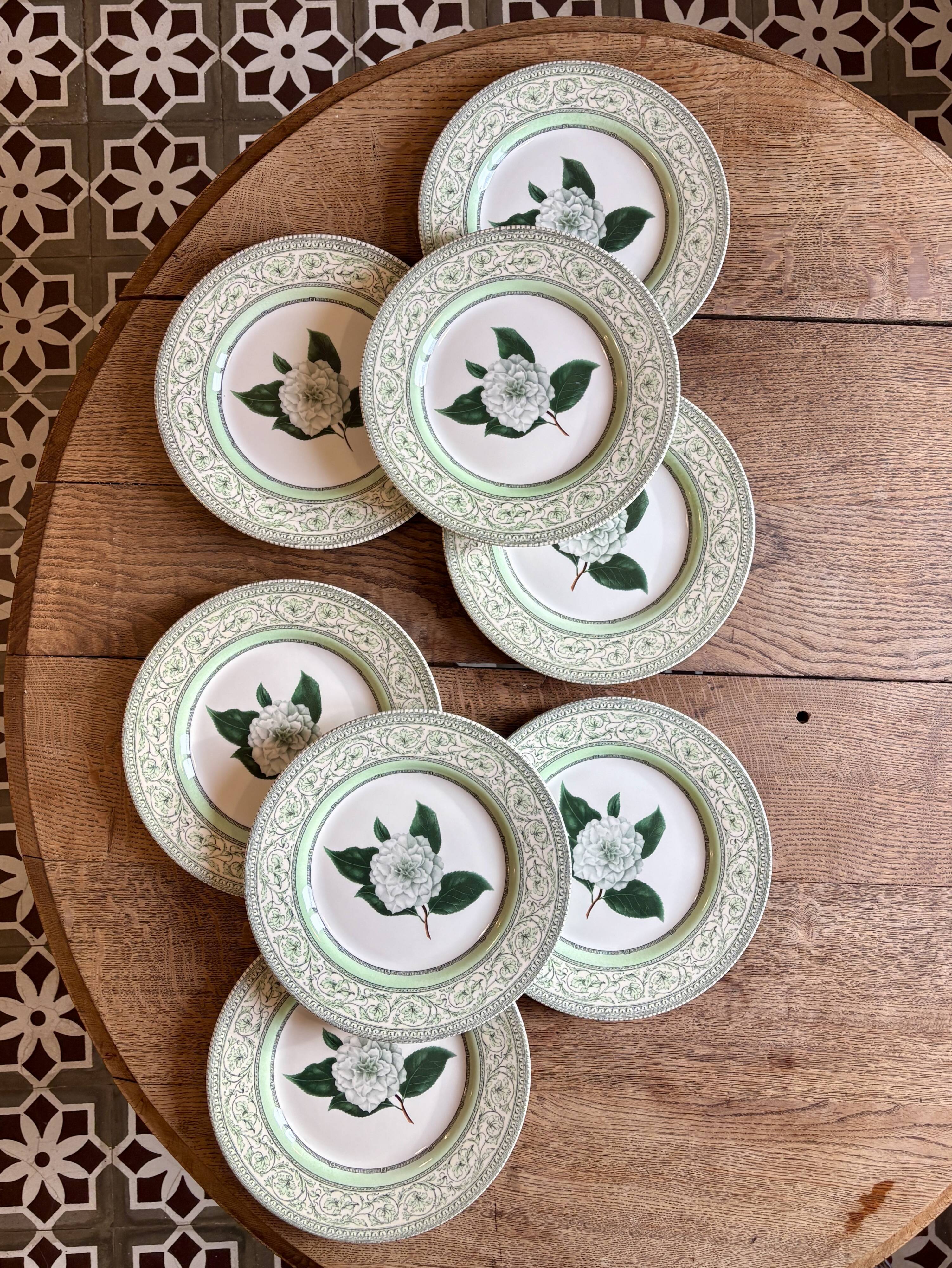 Lot de 8 assiettes plates Camélia - en porcelaine Anglaise
