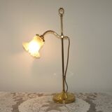 French antique brass goose neck table lamp with white opaque glass shade 5468.