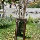 Corner mirror - wood and gilded brass - Napoleon style