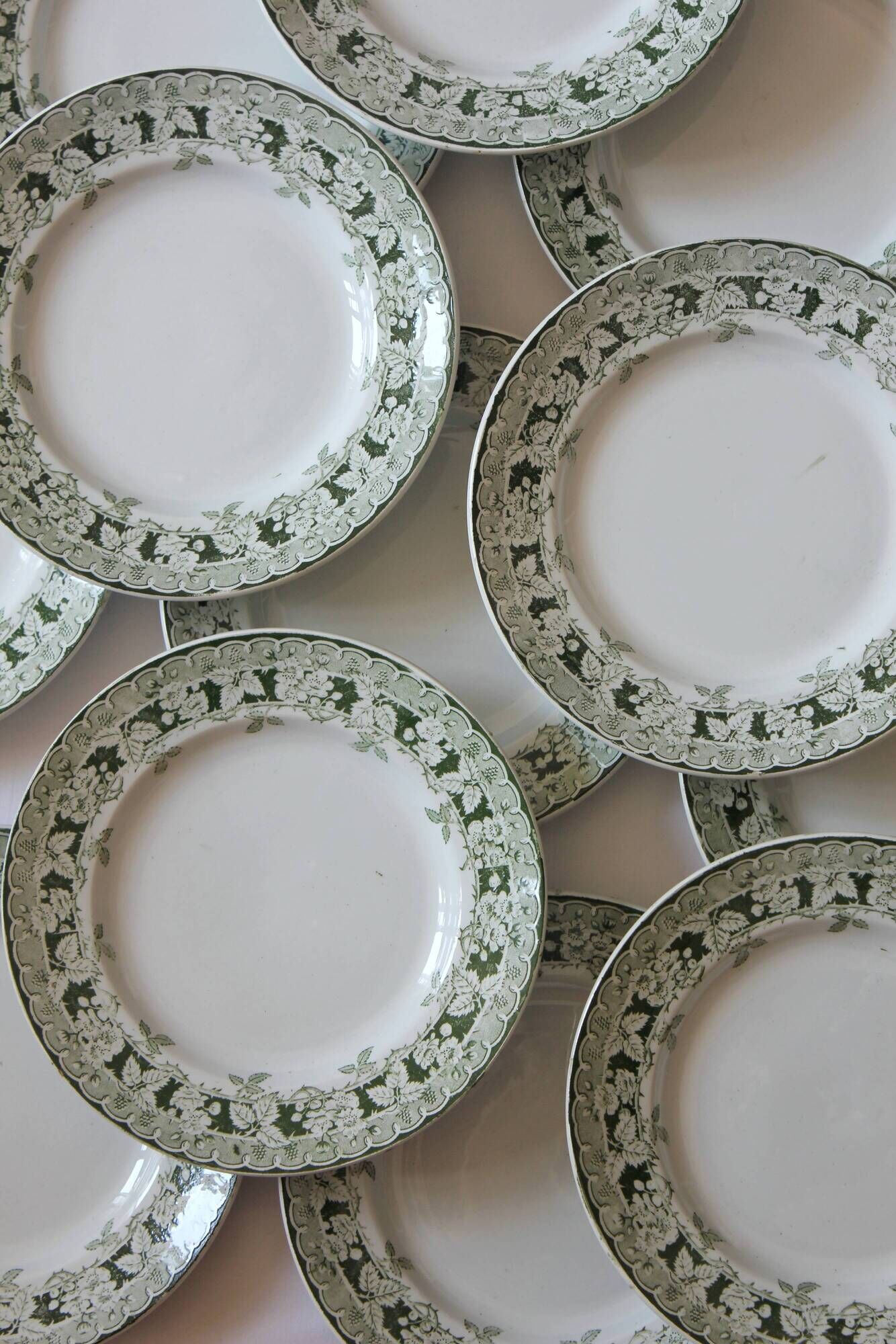 12 flat plates in iron earth model "Mulberry" Saint Amand and Hamage early twentieth century