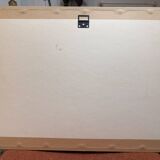 Old Print Engraving 19th Century Anatomy Nose Mouth Plate Head Morphology