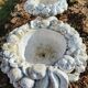 Pair of round stone fruit bowls on foot