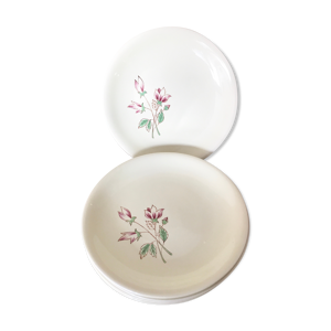 Set de 5 assiettes faïence de