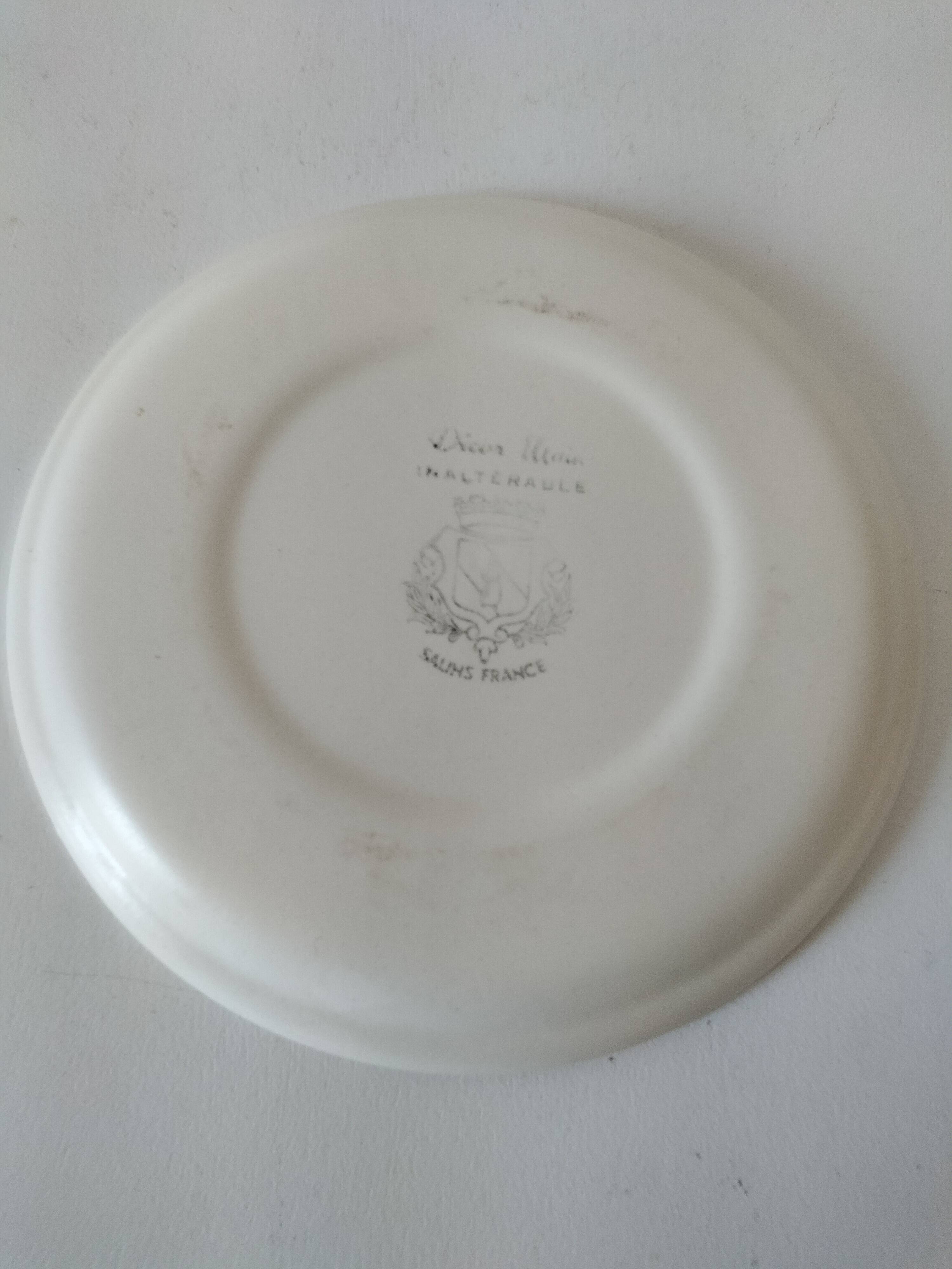 Vintage Salins plate