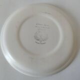 Vintage Salins plate