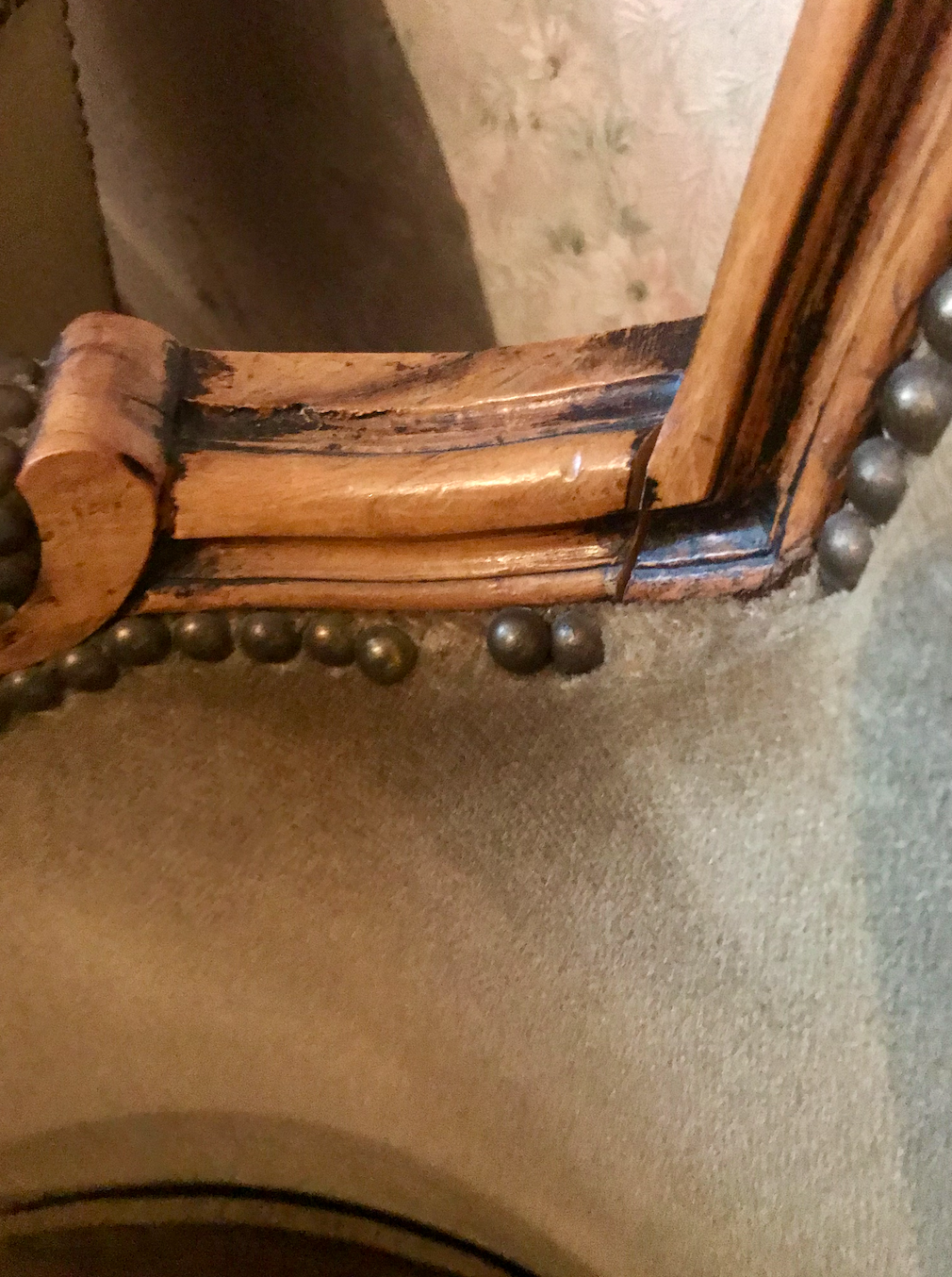 Velvet bergère chairs