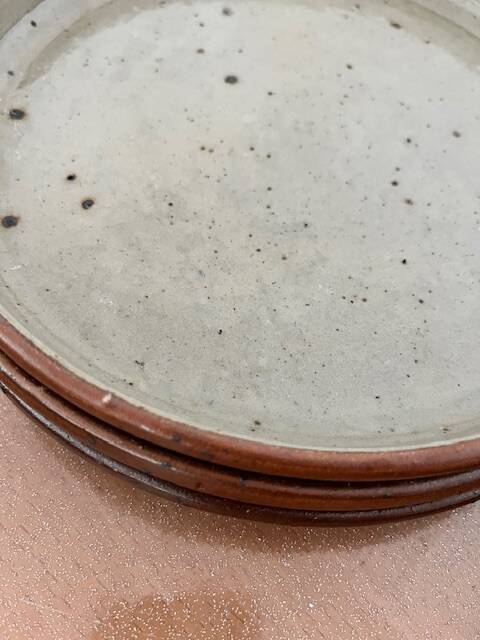 Set of 12 stoneware dinner plates