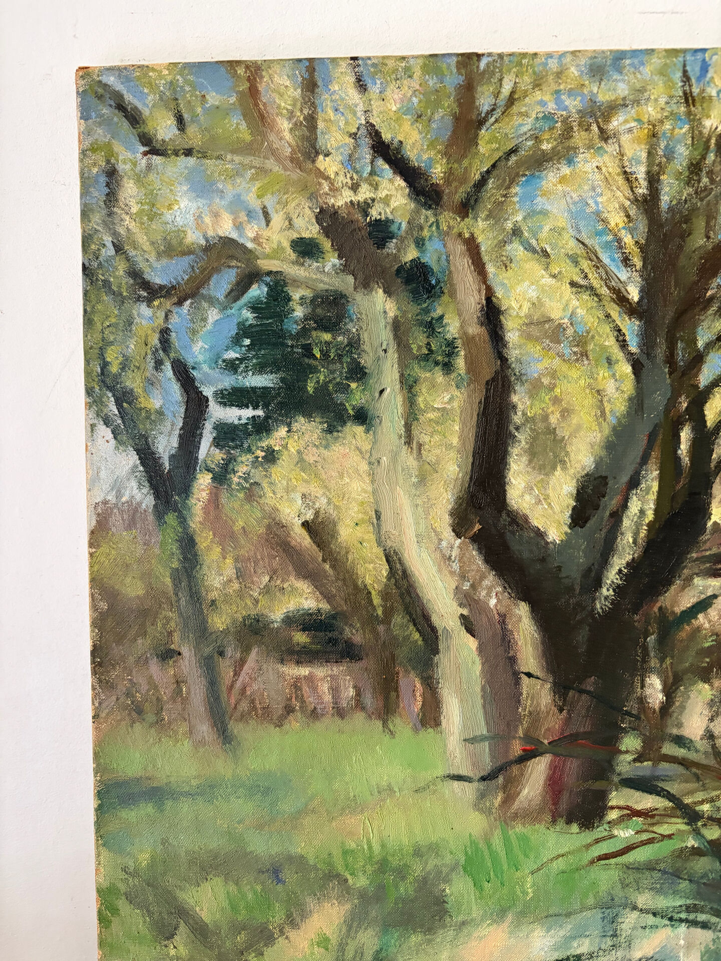 Paysage de forêt, huile sur toile signée Taquoy