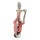 Blown Glass Carafe – Clichy Legras