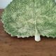 Assiette feuille de chou Barbotine
