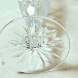 6 Bohemian Crystal Champagne Flutes