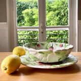 Set salad bowl fruit drainer and dish slurry