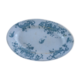 Dish