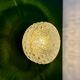 Vintage square glass globe wall/ceiling light (PLAF01)
