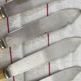 Fish cutlery