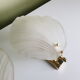 Pair of shell appliques in squeezed pressed glass and golden steel 1970
