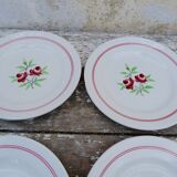 Set of 5 flower patterned dessert plates