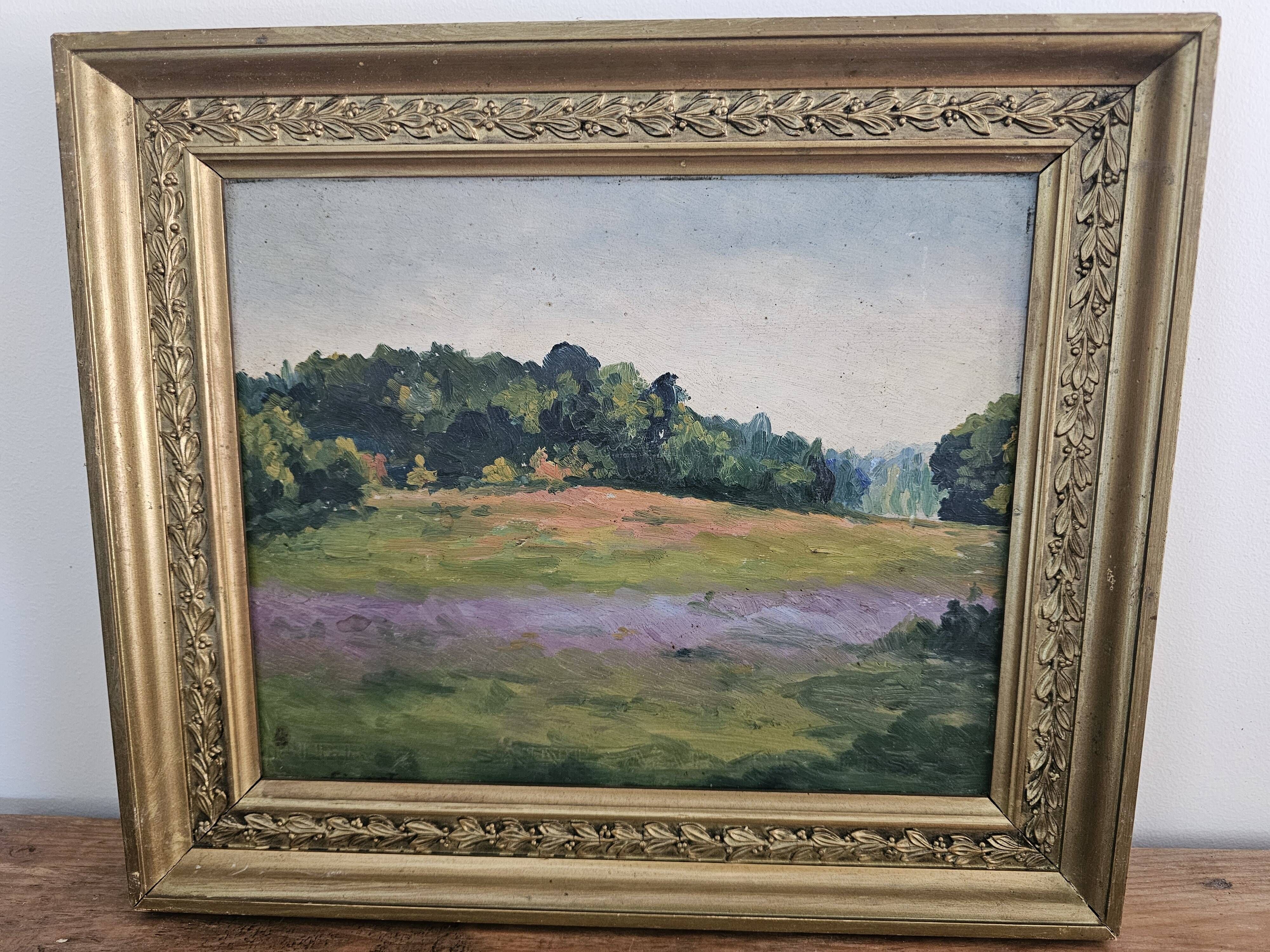 Oil Painting on Cardboard - Landscape of Flowering Hills - Not Signed